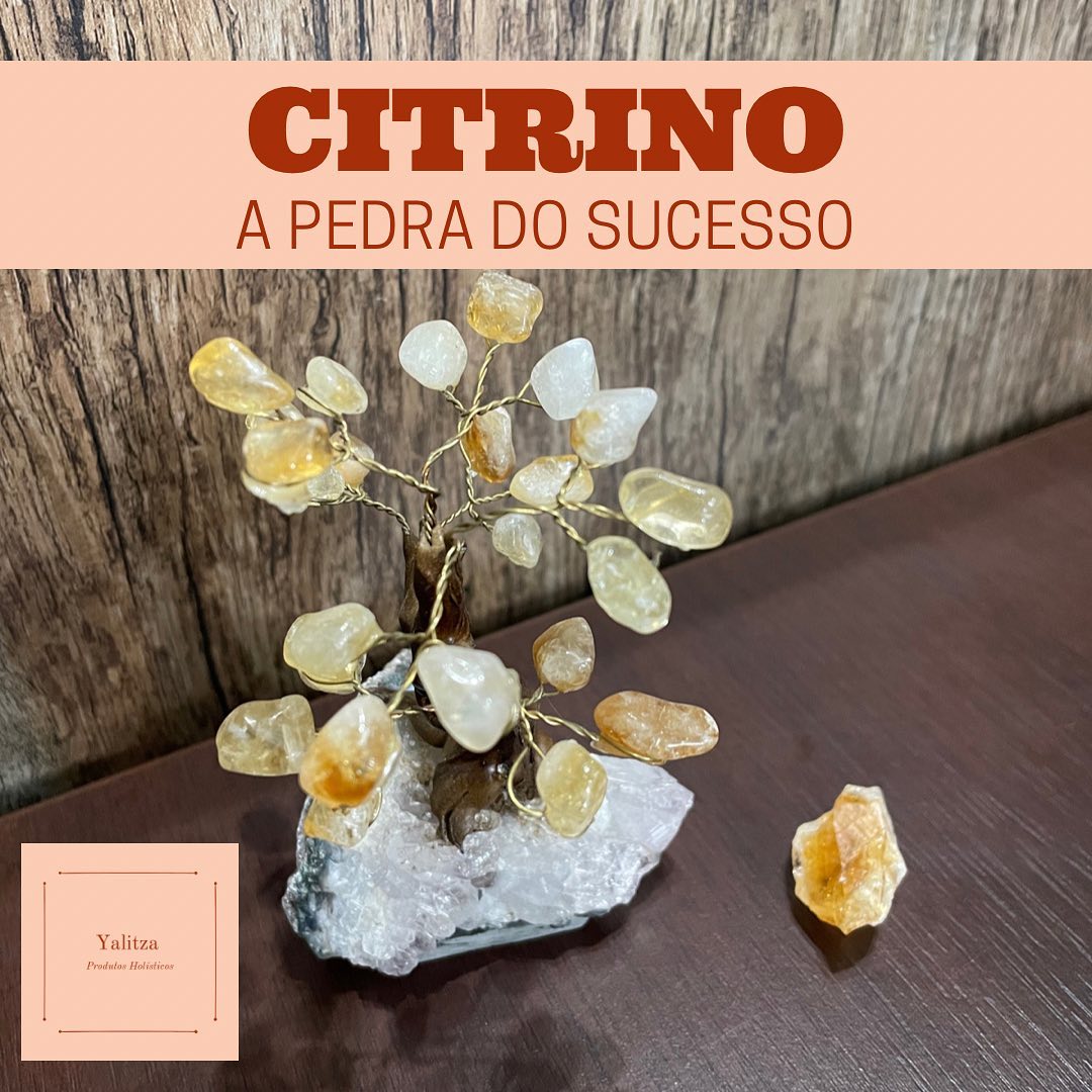 Jardim da Prosperidade Citrino — Yalitza